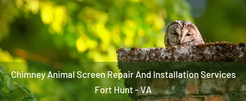  Chimney Animal Screen Repair And Installation Services Fort Hunt - VA