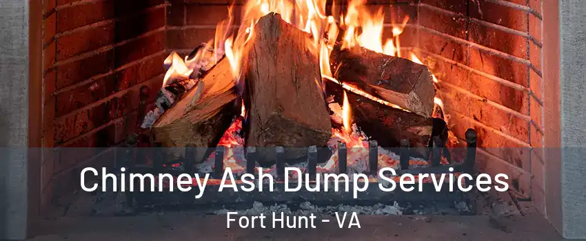 Chimney Ash Dump Services Fort Hunt - VA