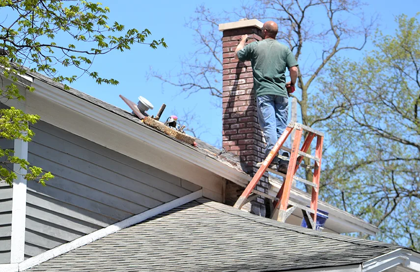 Chimney & Fireplace Inspections Services in Fort Hunt, VA