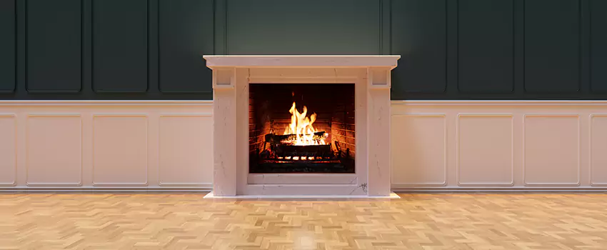 Napoleon Electric Fireplaces Inspection Service in Fort Hunt, Virginia