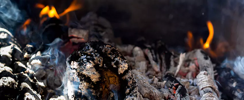 Creosote Removal Experts in Fort Hunt, VA