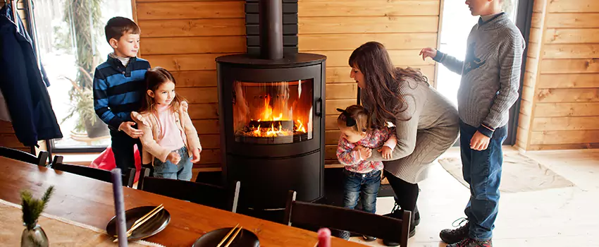 Jøtul Gas Fireplace Inspection Service in Fort Hunt, Virginia